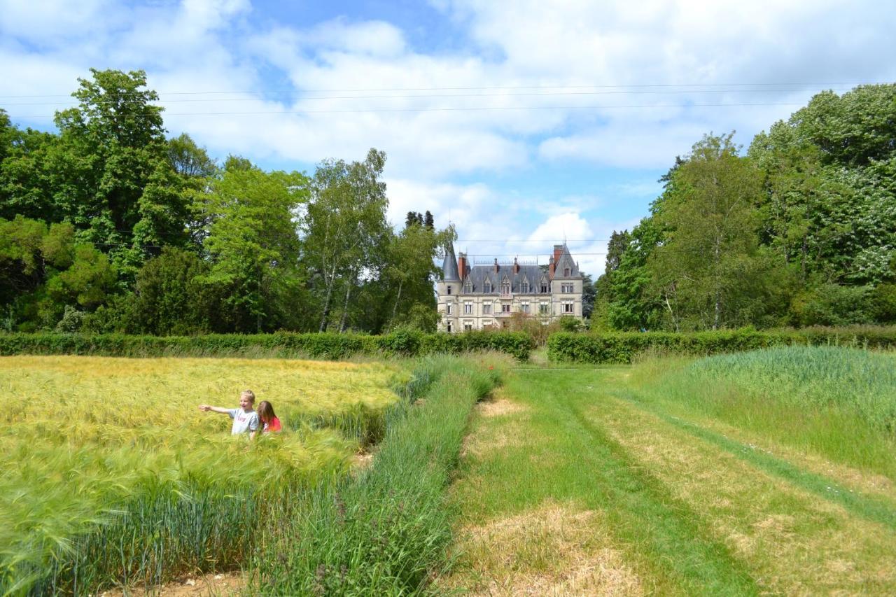Chateau Le Boisrenault Buzançais Zewnętrze zdjęcie